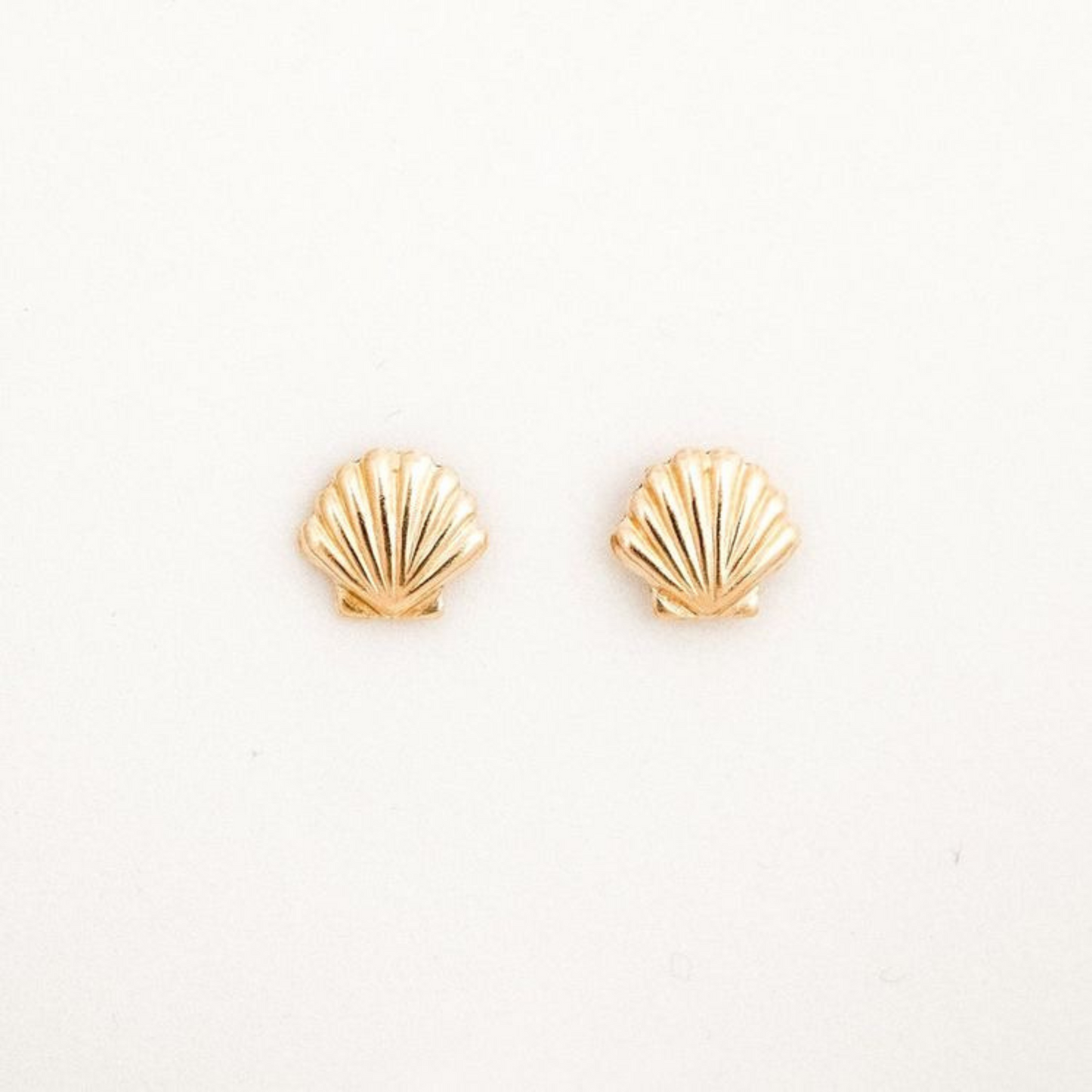 Shell Stud
