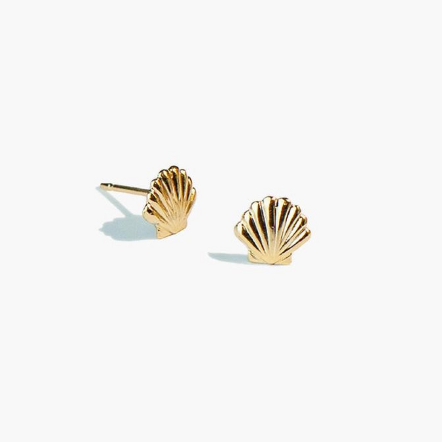 Shell Stud