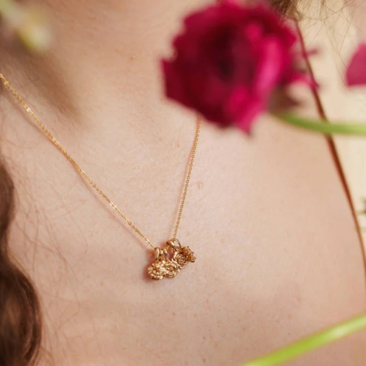 Bloom Birth Flower
